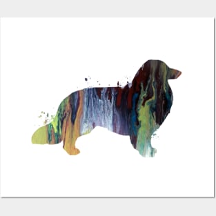 Longhaired dachshund Posters and Art